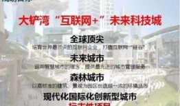 罗沙最新爆料公司,揭秘公司内部惊人内幕