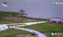 吴川公园最新爆料,全新景观与设施惊艳亮相