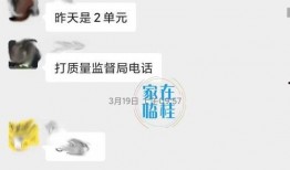 垃圾池爆料视频,视频内容深度解析